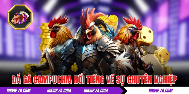 Đá Gà Campuchia - Thiên Đường Đích Thực Của Giới Sư Kê 1 Đá gà Campuchia từ lâu cực nổi tiếng về độ chuyên nghiệp